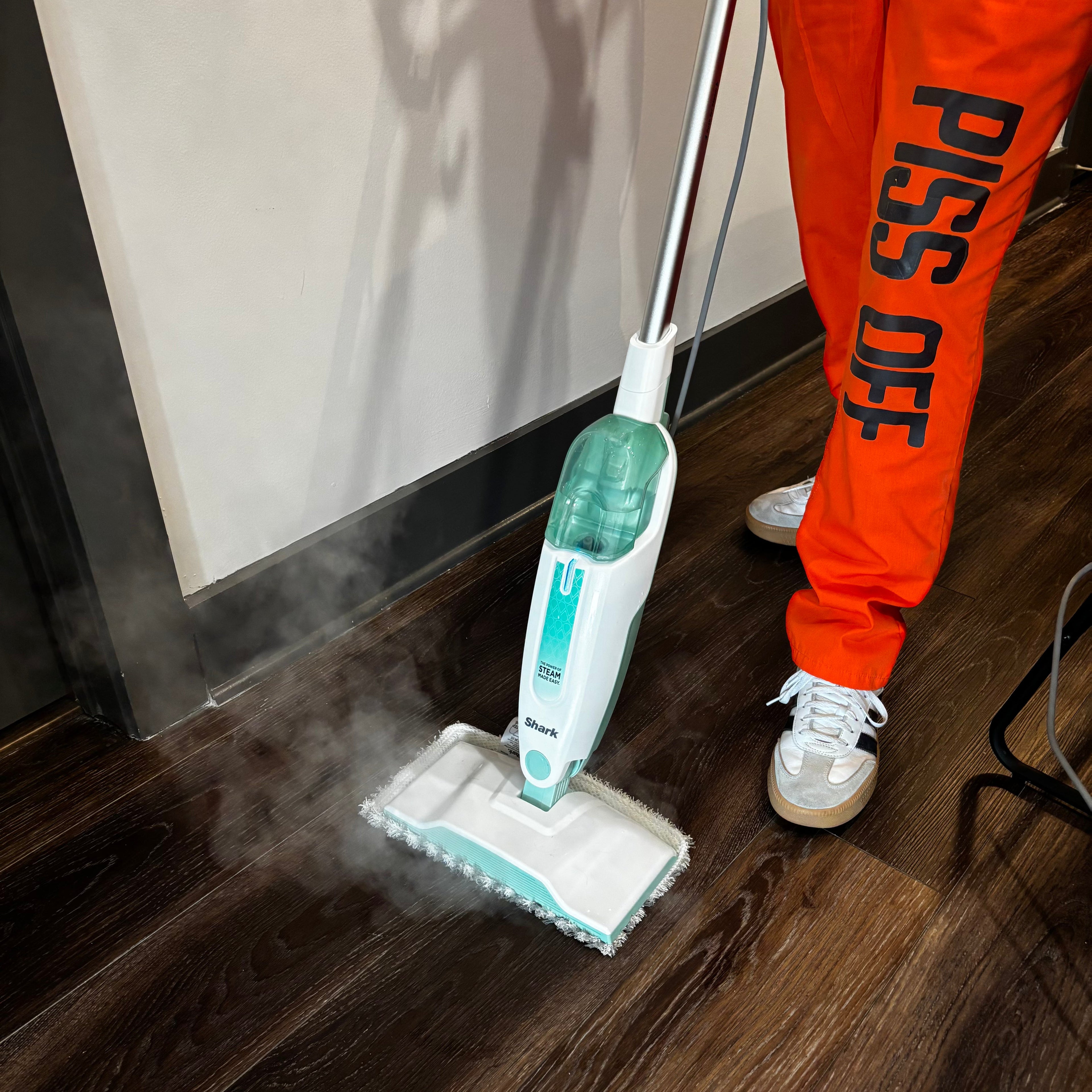 Enzymes vs. Oxidizers to Remove Pet Stains & Odors